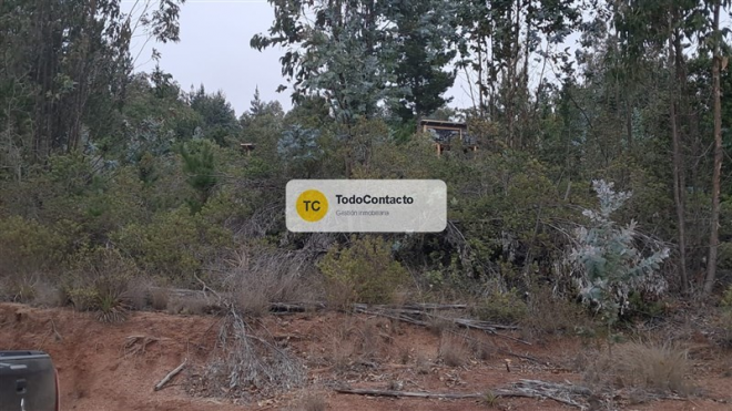 -17