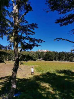 inversion-ideal-en-sector-residencial-(131282)-9