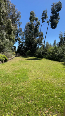 vendo-casa-en-el-llano-(165902)-7