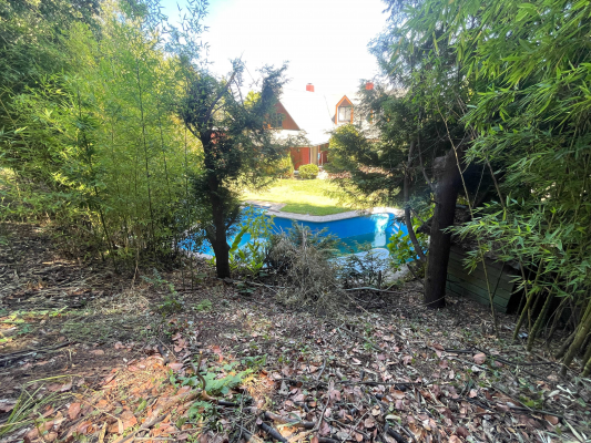 vendo-sitio-en-lonco-(165897)-9