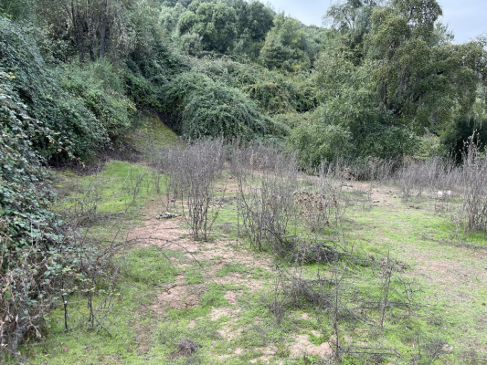 venta-hermoso-terreno-con-orilla-de-estero-6