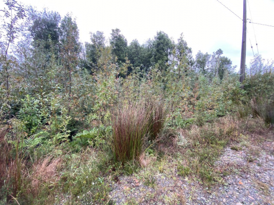 vendo-parcela-en-campos-neo-alerce,-puerto-montt-7