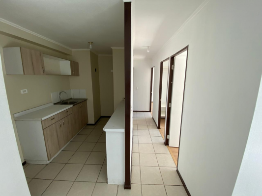 venta-departamento-3-dormitorios,-1-bano,-y-ter-4