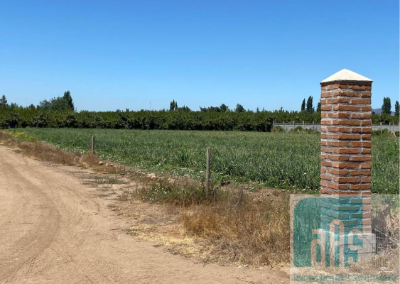 loteo-angostura-sector-vina-casa-silva-san-fern-6