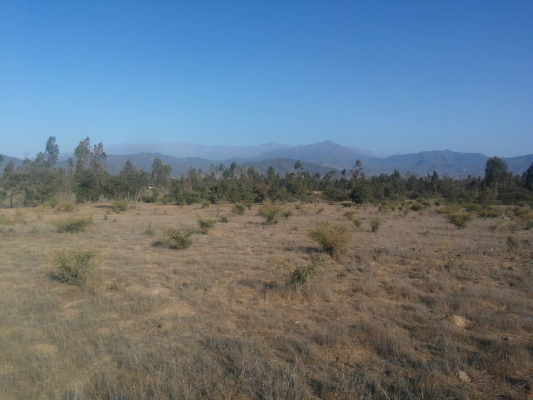 parcela-en-el-interior-de-zapallar-10000-m2-9