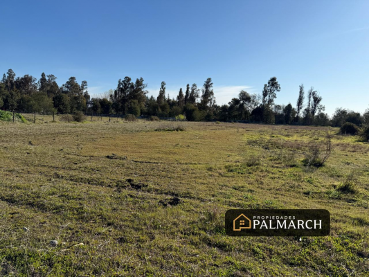venta-parcela-camino-a-pinto-km-8,-chillan-6