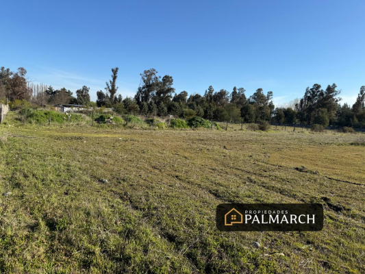 venta-parcela-camino-a-pinto-km-8,-chillan-8