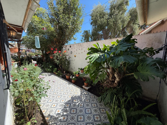 casa-3d-2b-con-patio-en-cerro-alegre,-valparaiso-9