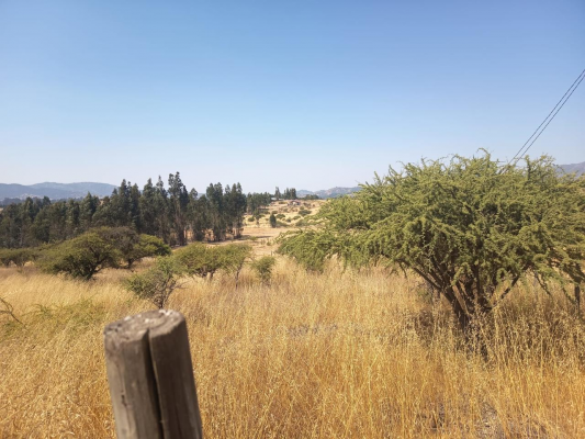 oportunidad-parcela-en-peralillo-5000-m2-4