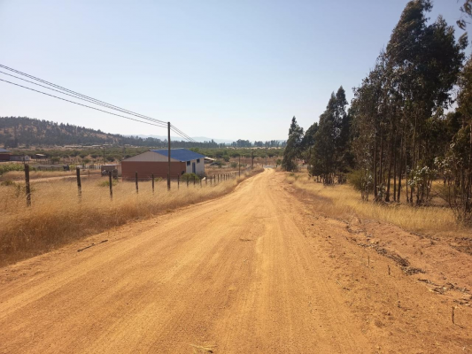 oportunidad-parcela-en-peralillo-5000-m2-5