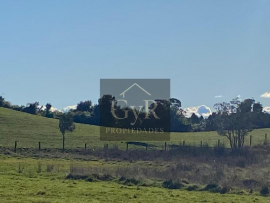 venta-de-2,5-hectareas-en-puerto-varas-5