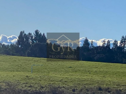 venta-de-2,5-hectareas-en-puerto-varas-6