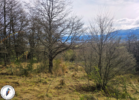 ¡vive-rodeado-de-naturaleza-a-minutos-de-la-ciu-9