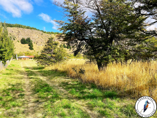 se-vende-parcela-sector-las-bandurrias-4