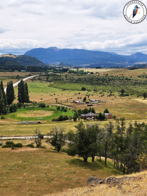 se-vende-terreno-camino-lago-atravesado-8