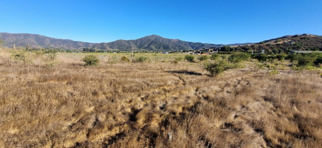 linda-parcela-plana-5000-m2,-hacienda-casablanca-7