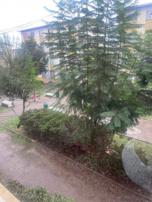 -11
