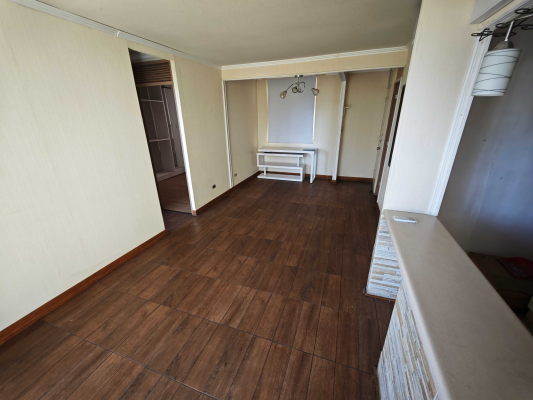 moderno-depto-con-espectacular-vista-(166036)-3