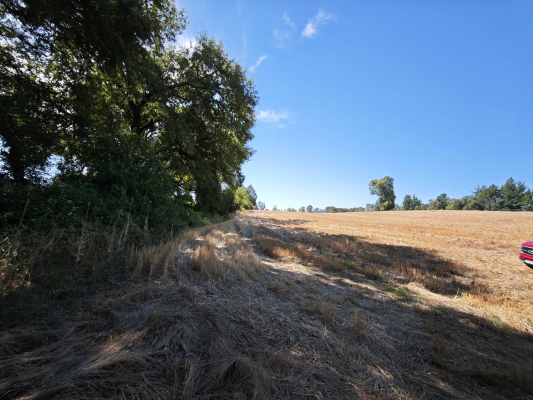 terreno-amplio-con-gran-potencial-(166040)-9