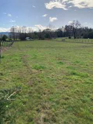 pitrufquen,terreno-cercado-con-empalme-de-luz-(-7