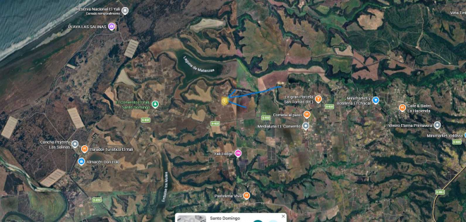 -10