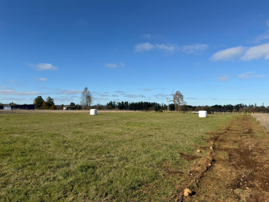p20267676ngm-3