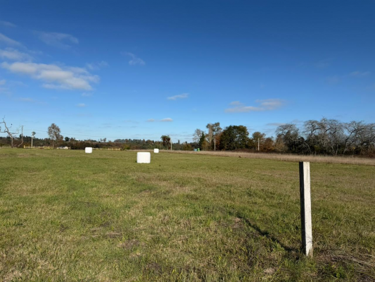 p20267676ngm-9