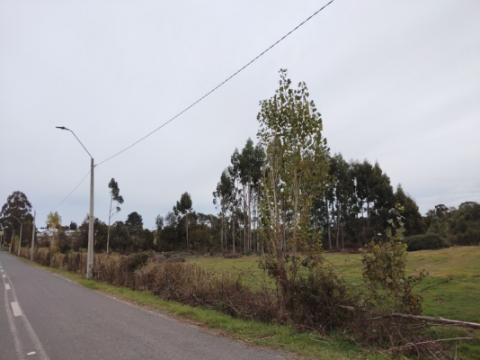 -15