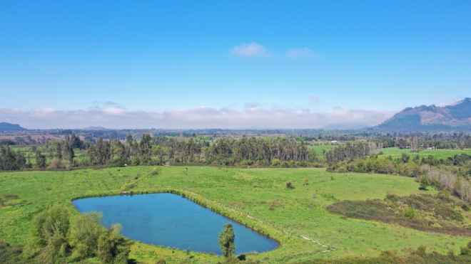 campo-77ha-buen-precio-y-condiciones-ideal-avel-8
