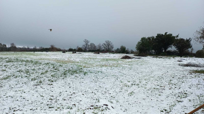 -16
