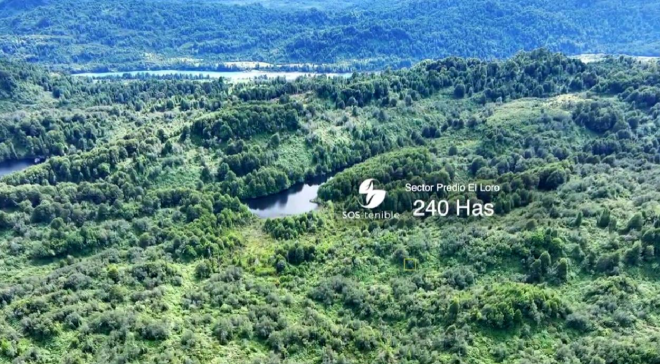 invierte-en-240-has-de-naturaleza-en-la-zona-no-4