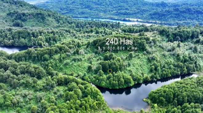 invierte-en-240-has-de-naturaleza-en-la-zona-no-5