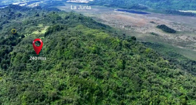 invierte-en-240-has-de-naturaleza-en-la-zona-no-7