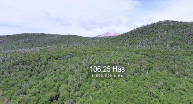 invierte-en-106-ha-de-belleza-pura-en-la-patagonia-7
