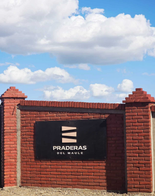 -3