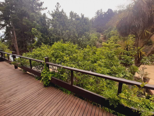 casa-de-playa-en-zapallar-(67618)-9