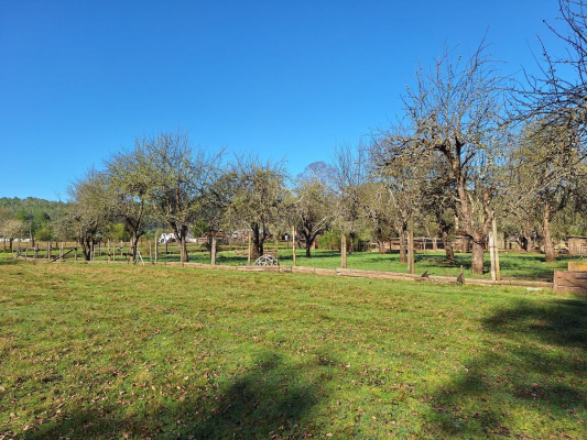 parcela-sector-aylin-5000m2-bajada-a-rio-4
