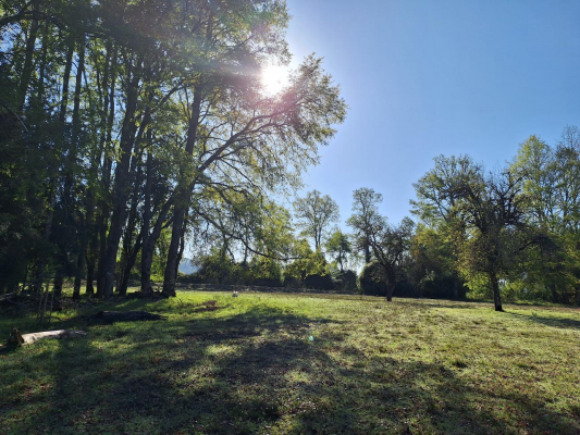 parcela-sector-aylin-5000m2-bajada-a-rio-6