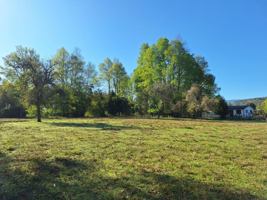 parcela-sector-aylin-5000m2-bajada-a-rio-8