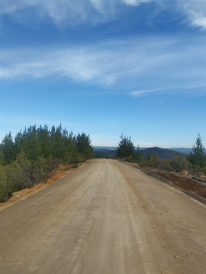 -4