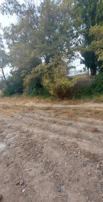 venta-terreno-urbano-4244-almendral-san-felipe-3