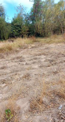 venta-terreno-urbano-4244-almendral-san-felipe-8