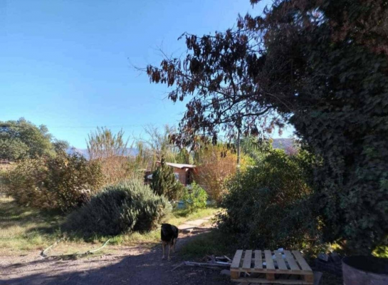 venta-terreno-urbano-4244-almendral-san-felipe-9