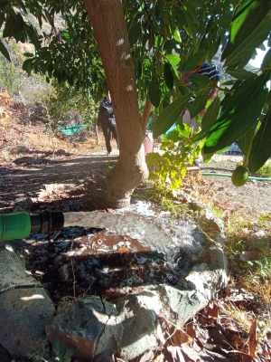 p20267696mmj-3