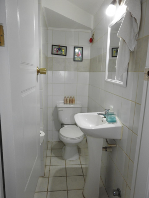 exclusica-casa-en-sector-oriente-4