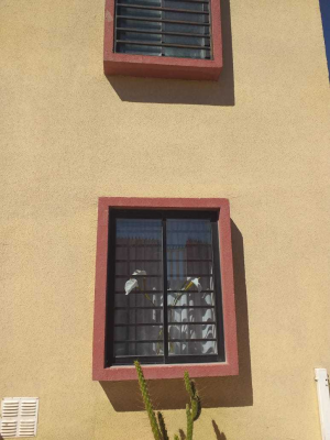 -7
