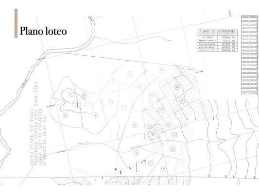 proyecto-listo-para-inversion-en-pucon!-(166678)-7