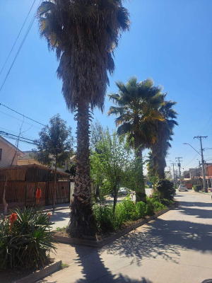 venta-casa-pasaje-cerrado-san-bernardo-(162303)-4