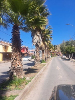 venta-casa-pasaje-cerrado-san-bernardo-(162303)-7