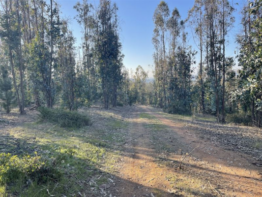 -5